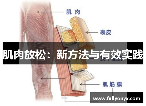 肌肉放松：新方法与有效实践