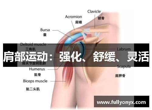 肩部运动：强化、舒缓、灵活