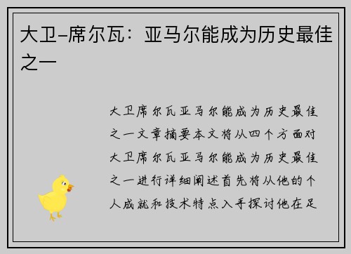 大卫-席尔瓦：亚马尔能成为历史最佳之一